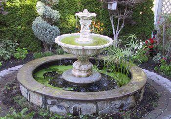nanaimo water garden center piece