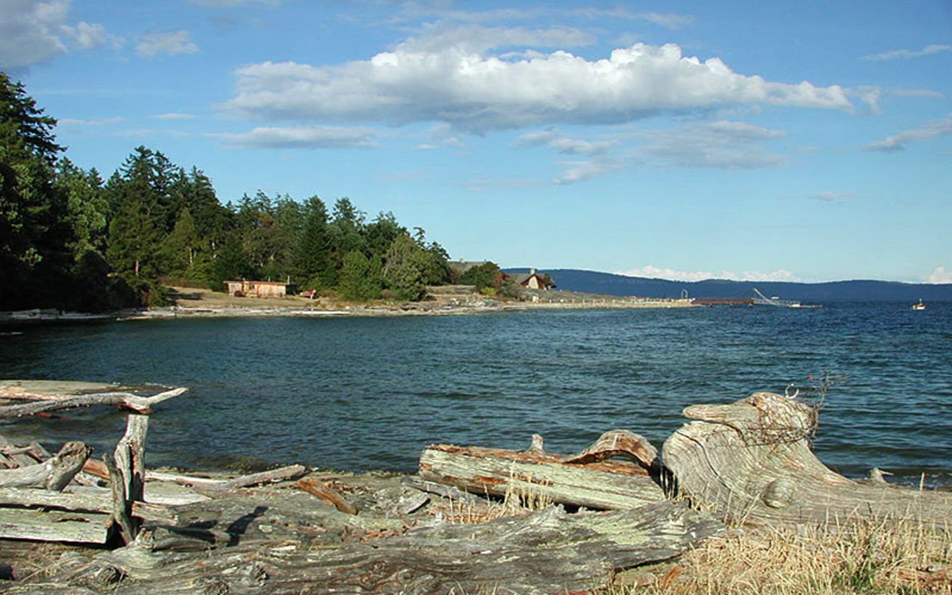 service area - yellow point bc